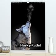Im Husky-Rudel (Premium, hochwertiger DIN A2 Wandkalender 2023, Kunstdruck in Hochglanz)