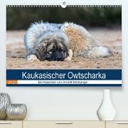 Kaukasischer Owtscharka (Premium, hochwertiger DIN A2 Wandkalender 2023, Kunstdruck in Hochglanz)