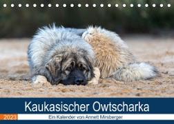 Kaukasischer Owtscharka (Tischkalender 2023 DIN A5 quer)