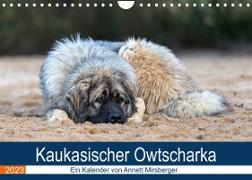 Kaukasischer Owtscharka (Wandkalender 2023 DIN A4 quer)