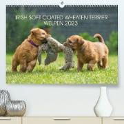 IRISH SOFT COATED WHEATEN TERRIER WELPEN 2023 (Premium, hochwertiger DIN A2 Wandkalender 2023, Kunstdruck in Hochglanz)