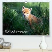 Rotfuchswelpen (Premium, hochwertiger DIN A2 Wandkalender 2023, Kunstdruck in Hochglanz)