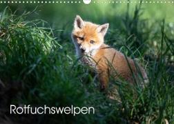 Rotfuchswelpen (Wandkalender 2023 DIN A3 quer)