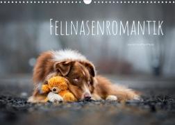 Fellnasenromantik (Wandkalender 2023 DIN A3 quer)