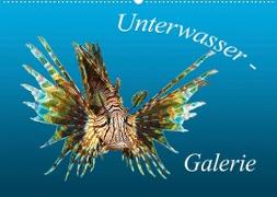 Unterwasser-Galerie (Wandkalender 2023 DIN A2 quer)