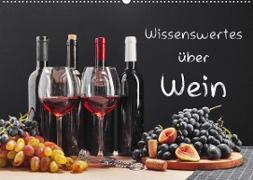 Wissenswertes über Wein (Wandkalender 2023 DIN A2 quer)