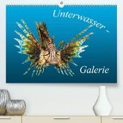 Unterwasser-Galerie (Premium, hochwertiger DIN A2 Wandkalender 2023, Kunstdruck in Hochglanz)