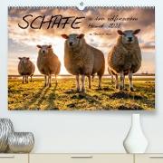 Schafe in ihrer ostfriesischen Heimat 2023 (Premium, hochwertiger DIN A2 Wandkalender 2023, Kunstdruck in Hochglanz)