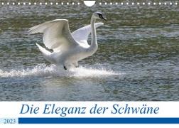 Die Eleganz der Schwäne (Wandkalender 2023 DIN A4 quer)