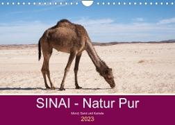 Sinai - Natur Pur (Wandkalender 2023 DIN A4 quer)