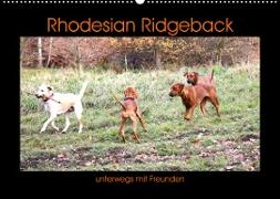 Rhodesian Ridgeback unterwegs mit Freunden (Wandkalender 2023 DIN A2 quer)