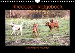 Rhodesian Ridgeback unterwegs mit Freunden (Wandkalender 2023 DIN A4 quer)