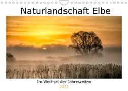 Naturlandschaft Elbe - Im Wechsel der Jahreszeiten (Wandkalender 2023 DIN A4 quer)