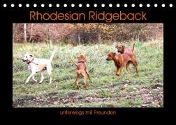 Rhodesian Ridgeback unterwegs mit Freunden (Tischkalender 2023 DIN A5 quer)