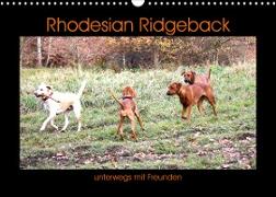 Rhodesian Ridgeback unterwegs mit Freunden (Wandkalender 2023 DIN A3 quer)