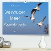 Steinhuder Meer, Vogel-Momente (Premium, hochwertiger DIN A2 Wandkalender 2023, Kunstdruck in Hochglanz)