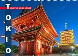 Tokio: Lichter einer Stadt (Wandkalender 2023 DIN A2 quer)