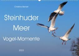 Steinhuder Meer, Vogel-Momente (Wandkalender 2023 DIN A2 quer)