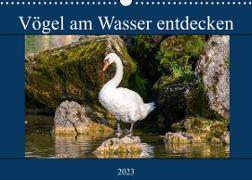 Vögel am Wasser entdecken (Wandkalender 2023 DIN A3 quer)