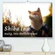 Shiba Inu - mutig, treu, selbstbewusst (Premium, hochwertiger DIN A2 Wandkalender 2023, Kunstdruck in Hochglanz)