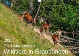 Die Natur erleben - Wildtiere in GraubündenCH-Version (Wandkalender 2023 DIN A3 quer)