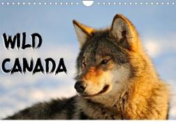 Wild Canada (Wall Calendar 2023 DIN A4 Landscape)