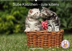 Süße Kätzchen - cute kittens (Wandkalender 2023 DIN A2 quer)