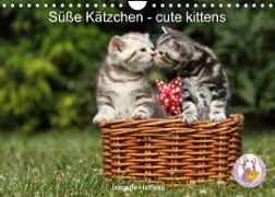 Süße Kätzchen - cute kittens (Wandkalender 2023 DIN A4 quer)