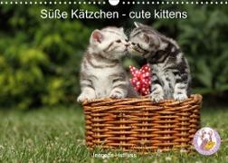 Süße Kätzchen - cute kittens (Wandkalender 2023 DIN A3 quer)