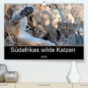 Südafrikas wilde Katzen (Premium, hochwertiger DIN A2 Wandkalender 2023, Kunstdruck in Hochglanz)