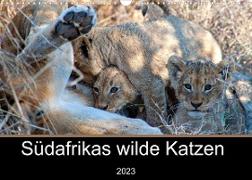 Südafrikas wilde Katzen (Wandkalender 2023 DIN A3 quer)