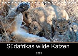 Südafrikas wilde Katzen (Tischkalender 2023 DIN A5 quer)