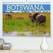 Botswana- Pirschfahrt mit Garantie auf Wildlife (Premium, hochwertiger DIN A2 Wandkalender 2023, Kunstdruck in Hochglanz)