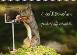 Eichhörnchen - zauberhaft verspielt (Wandkalender 2023 DIN A2 quer)