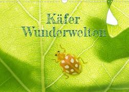Käfer-Wunderwelten (Wandkalender 2023 DIN A3 quer)