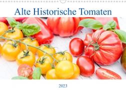 Alte Historische Tomaten (Wandkalender 2023 DIN A3 quer)