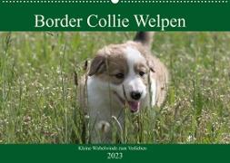 Border Collie Welpen - Kleine Wirbelwinde zum Verlieben (Wandkalender 2023 DIN A2 quer)