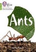 Ants