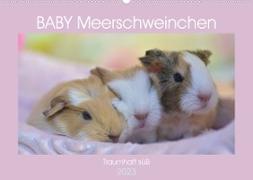 BABY Meerschweinchen Traumhaft süß (Wandkalender 2023 DIN A2 quer)