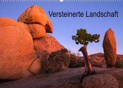 Versteinerte Landschaft (Wandkalender 2023 DIN A2 quer)