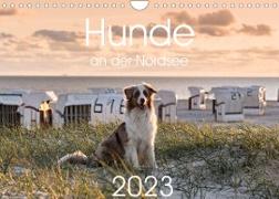 Hunde an der Nordsee (Wandkalender 2023 DIN A4 quer)