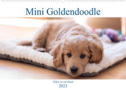 Mini Goldendoodle - Glück ist ein Hund (Wandkalender 2023 DIN A2 quer)
