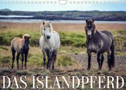 Das Islandpferd (Wandkalender 2023 DIN A4 quer)