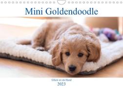 Mini Goldendoodle - Glück ist ein Hund (Wandkalender 2023 DIN A4 quer)