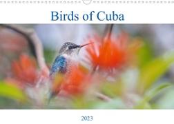 Birds of Cuba Island (Wall Calendar 2023 DIN A3 Landscape)