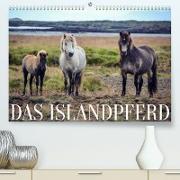 Das Islandpferd (Premium, hochwertiger DIN A2 Wandkalender 2023, Kunstdruck in Hochglanz)