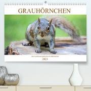 Grauhörnchen-Die nordamerikanischen Eichhörnchen (Premium, hochwertiger DIN A2 Wandkalender 2023, Kunstdruck in Hochglanz)