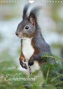 Eichhörnchen - zauberhafte Waldbewohner (Wandkalender 2023 DIN A4 hoch)