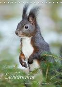 Eichhörnchen - zauberhafte Waldbewohner (Tischkalender 2023 DIN A5 hoch)