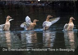 Die Entenballerina - freilebende Tiere in Bewegung (Wandkalender 2023 DIN A2 quer)